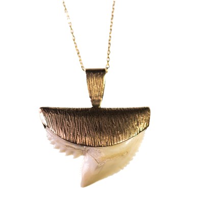 Lot 1193 - A SHARK TOOTH PENDANT ON CHAIN