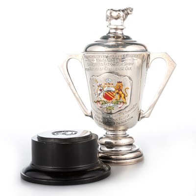 Lot 301 - A GEORGE V SILVER AND ENAMEL TWO-HANDLED TROPHY CUP