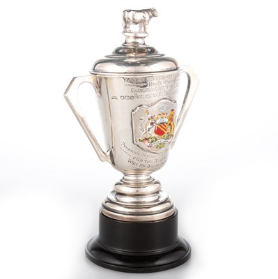 Lot 301 - A GEORGE V SILVER AND ENAMEL TWO-HANDLED TROPHY CUP