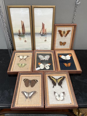 Lot 1199 - ENTOMOLOGY: SIX FRAMED DISPLAYS OF BUTTERFLIES AND MOTHS