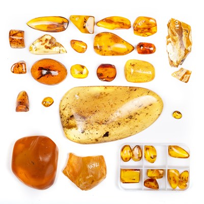 Lot 608 - A COLLECTION OF AMBER AND COPAL