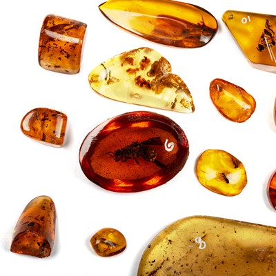 Lot 608 - A COLLECTION OF AMBER AND COPAL