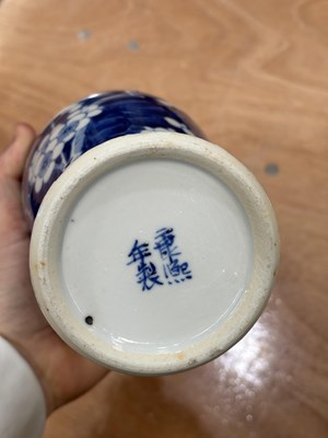 Lot 113 - A 19TH CENTURY CHINESE BLUE AND WHITE GINGER JAR