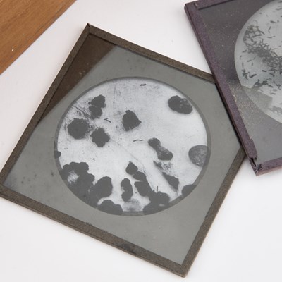 Lot 85 - A BOXED COLLECTION OF MEDICAL GLASS SLIDES