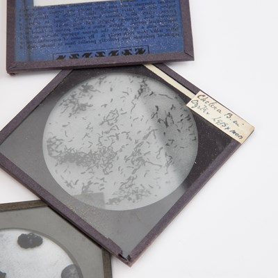 Lot 85 - A BOXED COLLECTION OF MEDICAL GLASS SLIDES