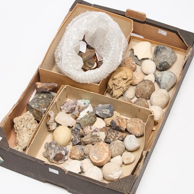 Lot 861 - A COLLECTION OF FOSSILS AND MINERALS