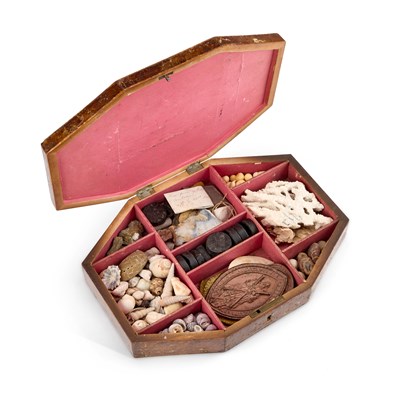 Lot 1060 - AN EARLY 19TH CENTURY BURRWOOD COUNTRY HOUSE COLLECTOR'S BOX CONTAINING SHELLS, SEALS, ETC.