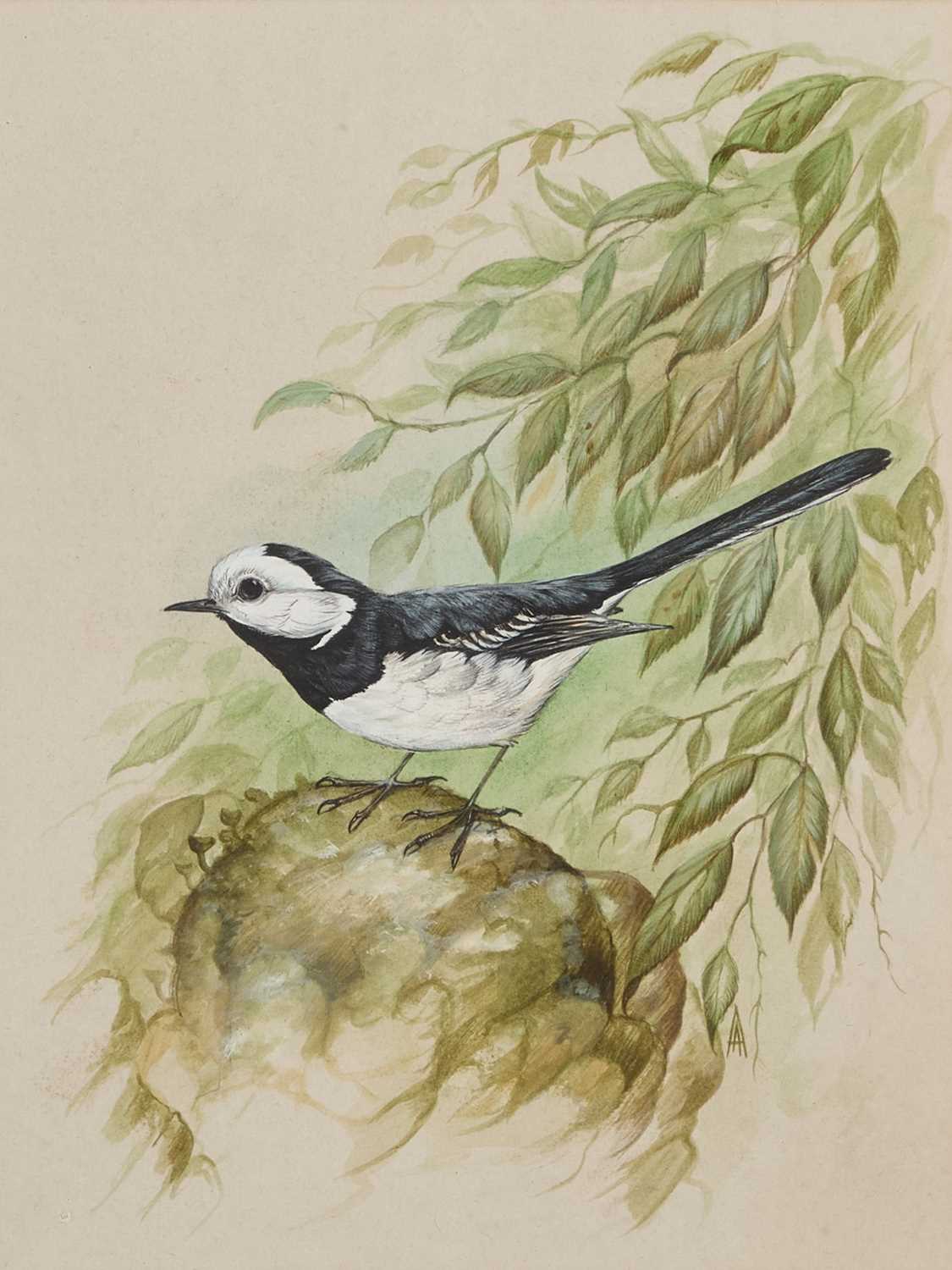 Lot 266 - ANDREW ALEXANDER (CONTEMPORARY)
