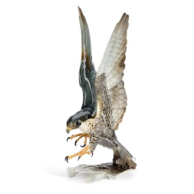 Lot 31 - HANS ACHTZIGER FOR HUTSCHENREUTHER, A LARGE PORCELAIN MODEL OF A PEREGINE FALCON