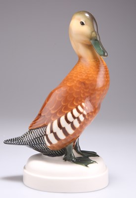 Lot 93 - AN EARLY 20TH CENTURY SCHWARZBURGER WERKSTÄTTEN FÜR PORZELLANKUNST MODEL OF A DUCK