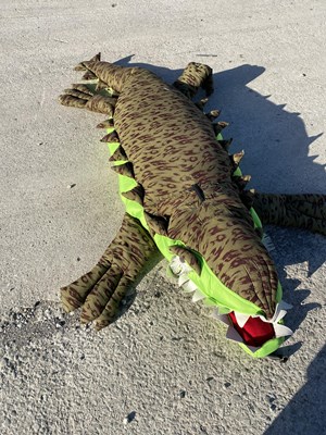 Lot 7 - PETER PAN CROCODILE