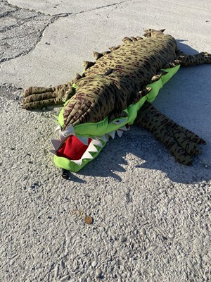 Lot 7 - PETER PAN CROCODILE