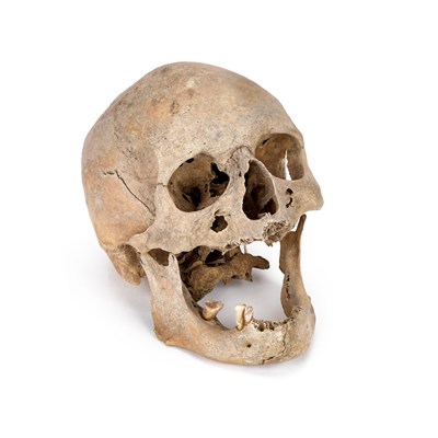 Lot 554 - AN ANTIQUE HUMAN SKULL