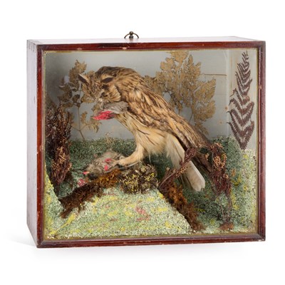 Lot 612 - TAXIDERMY: A CASED EUROPEAN EAGLE-OWL (BUBO BUBO)
