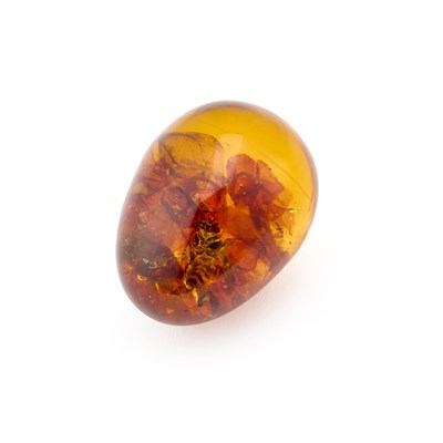 Lot 829 - A WASP PRESERVED IN AMBER TREE RESIN