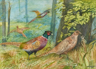 Lot 302 - D.M & E.M ALDERSON (20TH CENTURY)