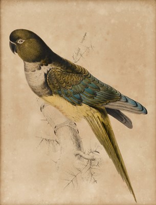 Lot 957 - AFTER EDWARD LEAR (1812-1888)