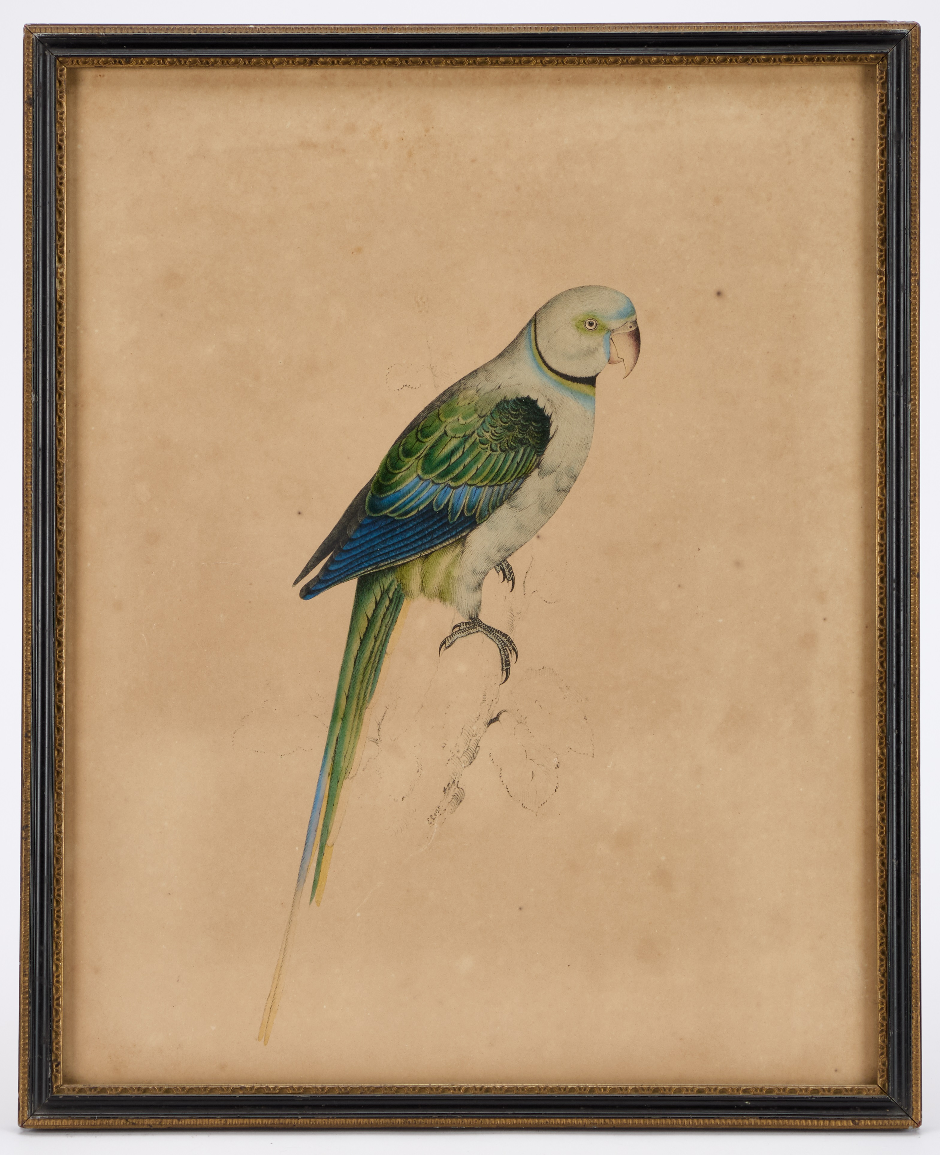 Lot 957 - AFTER EDWARD LEAR (1812-1888)