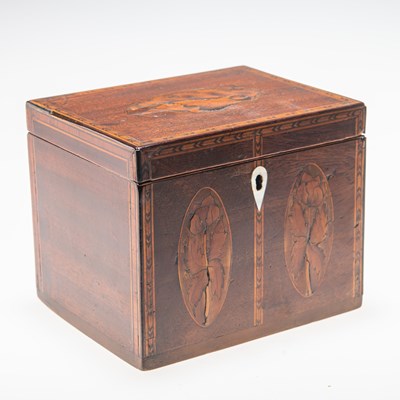 Lot 445 - AN EARLY 19TH CENTURY INLAID MAHOGANY TEA CADDY