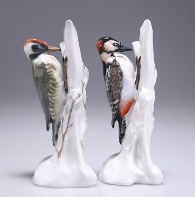 Lot 106 - TWO ROSENTHAL PORCELAIN MODELS OF WOODPECKERS