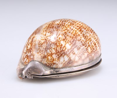 Lot 1416 - AN 18TH CENTURY SILVER-MOUNTED COWRIE SHELL SNUFF BOX