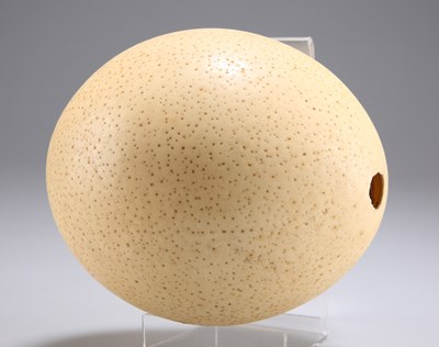 Lot 451 - AN OSTRICH EGG